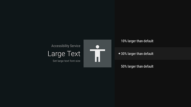 Image showing the Large Text customization options